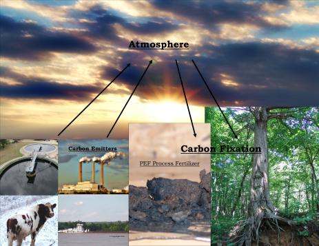 Carbon Cycle-PEF